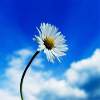 Retus Hedgepeth Zierke